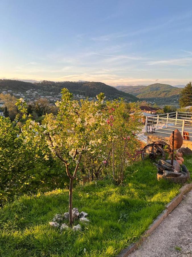 Green House Guest House Kutaissi Exterior foto