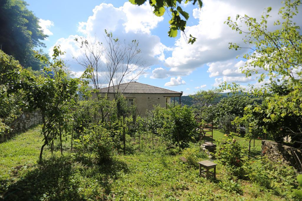Green House Guest House Kutaissi Exterior foto